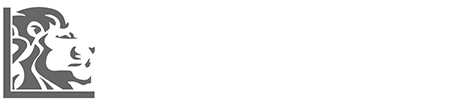 Toronto Headshot Logo